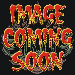 Girls T's w/Hands of Fire logo